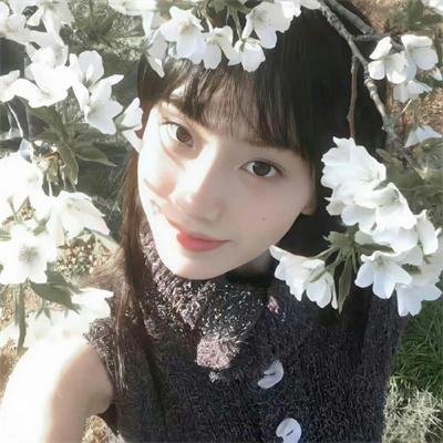 西环的故事